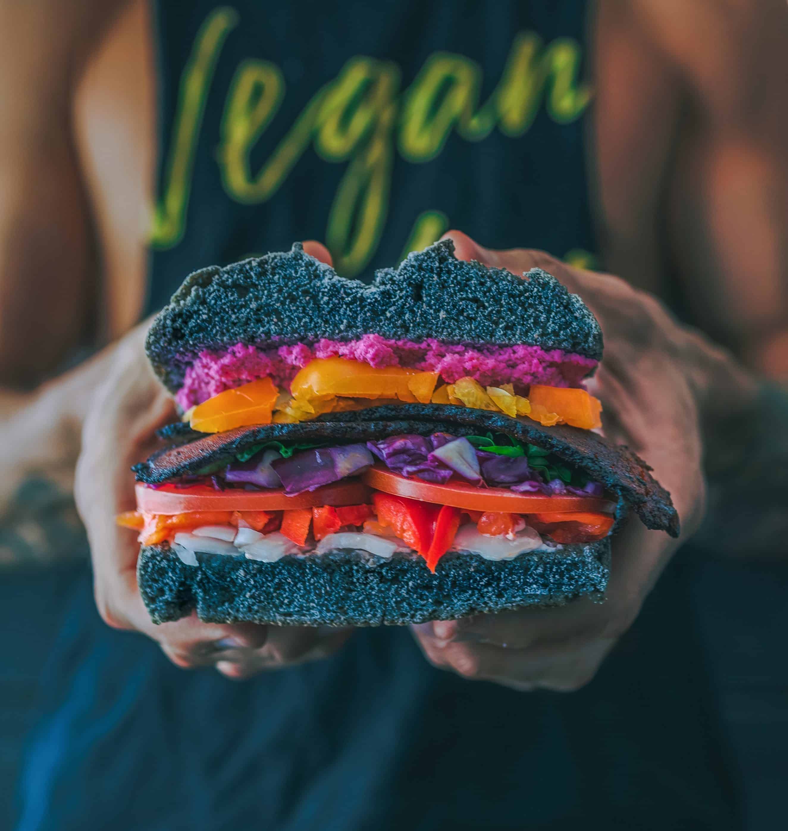 image-alternative-meat-vegan-burger